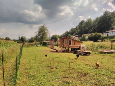 slike za tekst slike za tekst