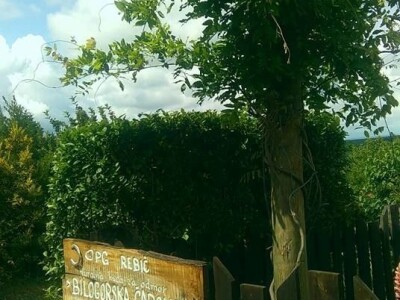 slike za tekst slike za tekst