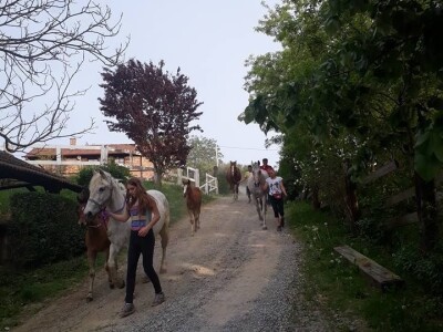 slike za tekst slike za tekst