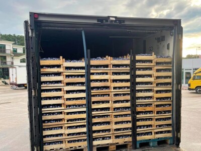 Šljive u Gradačcu 2024.