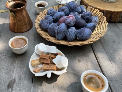 Šljiva je othranila generacije u gradu Zmaja od Bosne