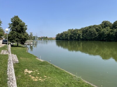Šljiva je othranila generacije u gradu Zmaja od Bosne
