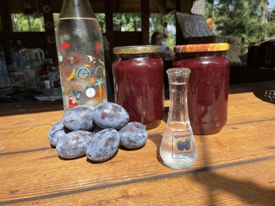 Šljiva je othranila generacije u gradu Zmaja od Bosne