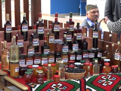 Šljiva u Osečini - tradicija i osnovni izvor prihoda