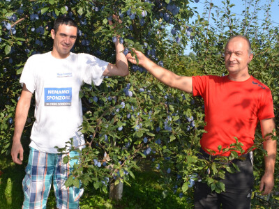 Šljive su postale pravi obiteljski posao Horvatovih na obroncima Bilogore