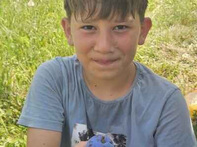 Šljive u Gradačcu 2024.