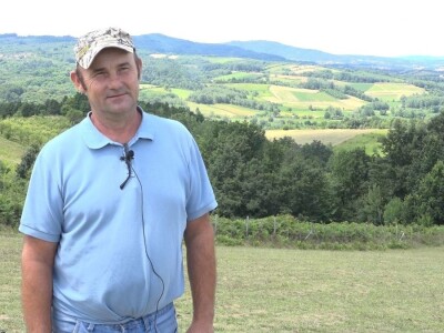 Šljivu zamenio ovcama i nije se pokajao