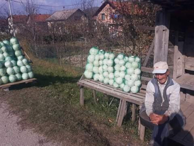 Slovneci iz srca Bosne: Kupus posadimo na rizik, niti znamo da li će biti dobar, ni da ćemo ga uspjeti prodati