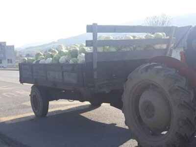 Slovneci iz srca Bosne: Kupus posadimo na rizik, niti znamo da li će biti dobar, ni da ćemo ga uspjeti prodati