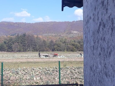Slovneci iz srca Bosne: Kupus posadimo na rizik, niti znamo da li će biti dobar, ni da ćemo ga uspjeti prodati