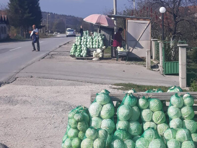 Slovneci iz srca Bosne: Kupus posadimo na rizik, niti znamo da li će biti dobar, ni da ćemo ga uspjeti prodati