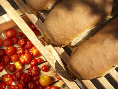 Slow Food Festival Korčula
