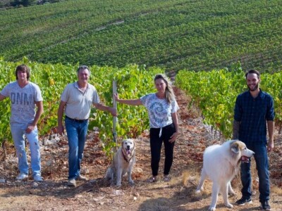 Slow Food Festival Korčula