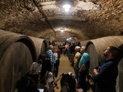 Slow Wine Train
