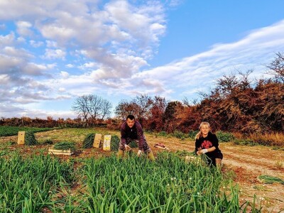 Slučaj Ante Peraića:  Iz Programa ruralnog razvoja dobio 100.000 eura, a nedaju mu da kupi dva hektara državnog zemljišta!
