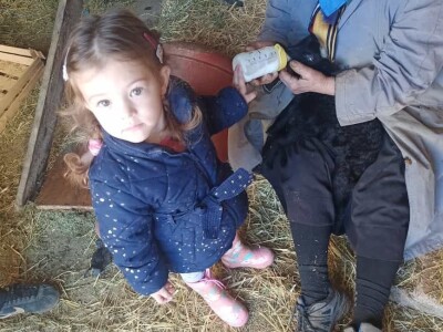 Slučaj Ante Peraića:  Iz Programa ruralnog razvoja dobio 100.000 eura, a nedaju mu da kupi dva hektara državnog zemljišta!