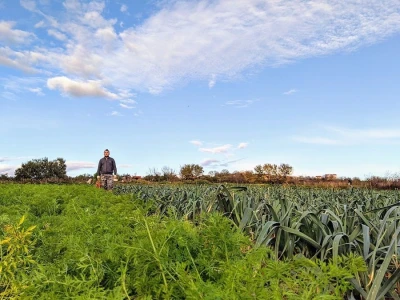 Slučaj Ante Peraića:  Iz Programa ruralnog razvoja dobio 100.000 eura, a nedaju mu da kupi dva hektara državnog zemljišta!