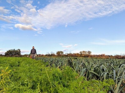 Slučaj Ante Peraića:  Iz Programa ruralnog razvoja dobio 100.000 eura, a nedaju mu da kupi dva hektara državnog zemljišta!