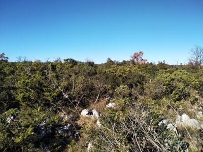 Slučaj Ante Peraića:  Iz Programa ruralnog razvoja dobio 100.000 eura, a nedaju mu da kupi dva hektara državnog zemljišta!