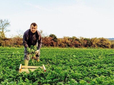 Slučaj Ante Peraića:  Iz Programa ruralnog razvoja dobio 100.000 eura, a nedaju mu da kupi dva hektara državnog zemljišta!