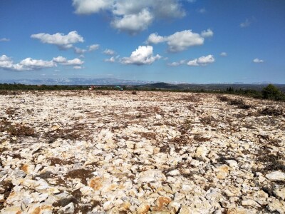 Slučaj Ante Peraića:  Iz Programa ruralnog razvoja dobio 100.000 eura, a nedaju mu da kupi dva hektara državnog zemljišta!