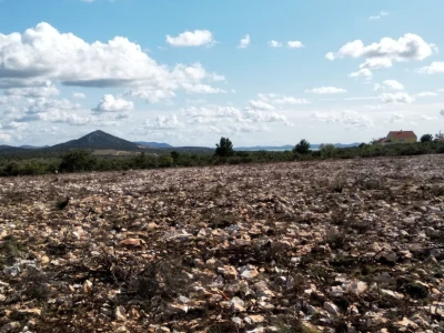 Slučaj Ante Peraića:  Iz Programa ruralnog razvoja dobio 100.000 eura, a nedaju mu da kupi dva hektara državnog zemljišta!