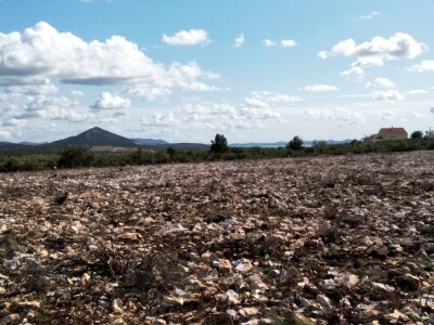 Slučaj Ante Peraića:  Iz Programa ruralnog razvoja dobio 100.000 eura, a nedaju mu da kupi dva hektara državnog zemljišta!
