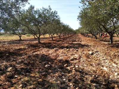 Slučaj Ante Peraića:  Iz Programa ruralnog razvoja dobio 100.000 eura, a nedaju mu da kupi dva hektara državnog zemljišta!