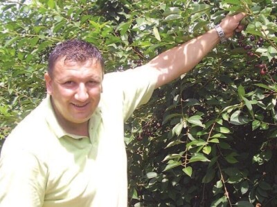 SLUČAJ MARAŠKA - Milenko Vrkić i braniteljska zadruga spašavaju preostale proizvođače višnje maraške!