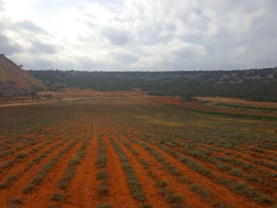 Vodi se briga o svakom nasadu