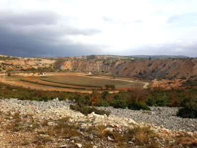 Prava ekološka razglednica