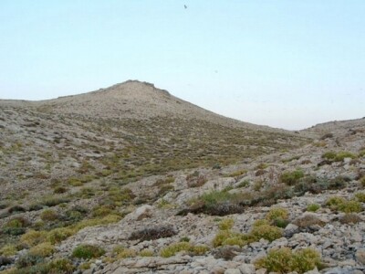 Smilje i ino samoniklo bilje u dalmatinskom kršu Smilje i ino samoniklo bilje u dalmatinskom kršu