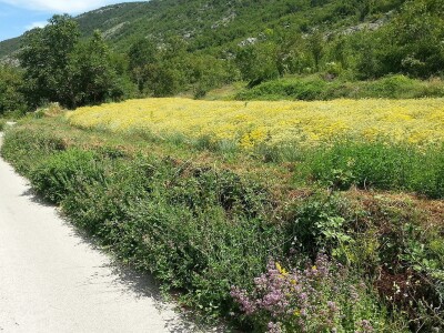 Posjeta stručnjaka s Korzike Posjeta stručnjaka s Korzike