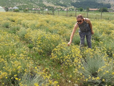 Posjeta stručnjaka s Korzike Posjeta stručnjaka s Korzike