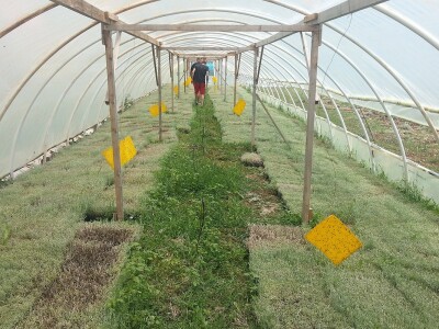 Posjeta stručnjaka s Korzike Posjeta stručnjaka s Korzike