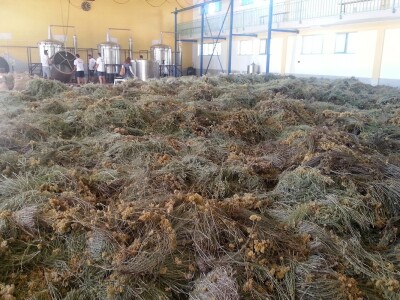 Posjeta stručnjaka s Korzike Posjeta stručnjaka s Korzike