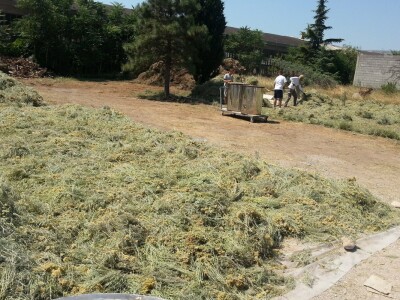 Posjeta stručnjaka s Korzike Posjeta stručnjaka s Korzike