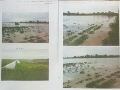 Dio poplavljenih površina pod krumpirom Dio poplavljenih površina pod krumpirom