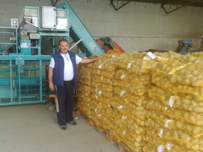 Mato Šmit, proizvođač krumpira