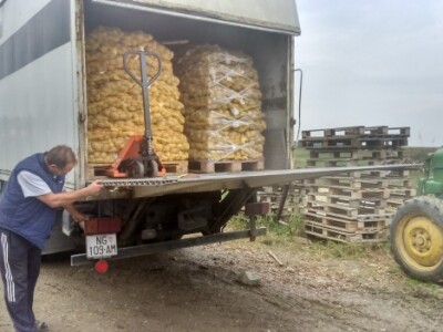 Otprema povrća robnim lancima Otprema povrća robnim lancima