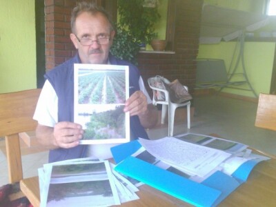 Poplave smanjuju prinose Poplave smanjuju prinose