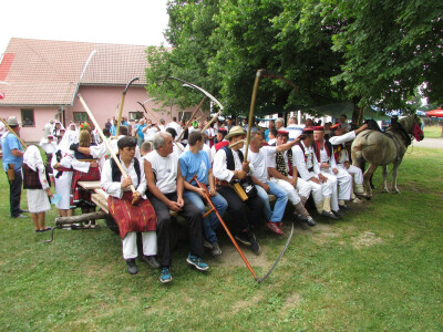 kosci odlaze nalivadu