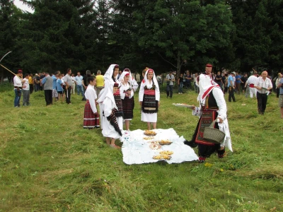 stara jela na njivi