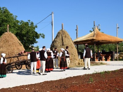 Smotra istarskih volova