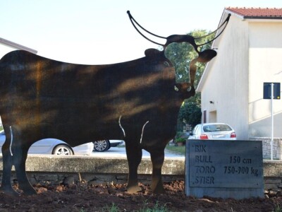 Smotra istarskih volova