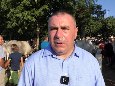 Smotra istarskih volova - Jakovlja 2021.