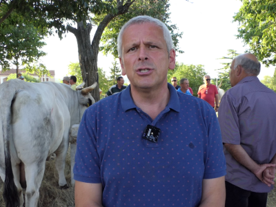 Smotra istarskih volova - Jakovlja 2021.