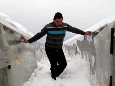 Izmedju plastenika sneg do pojasa