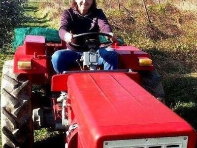 Poslastica "med" od maslačka