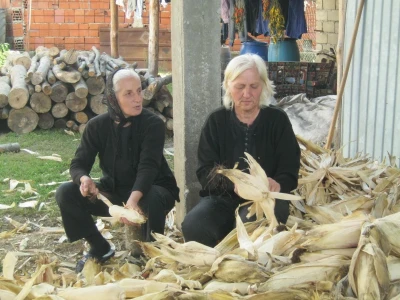 Snežana Janjić pokušava da održi stočni fond